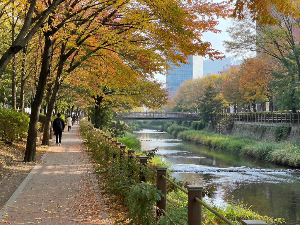 Tree-lined stream path in Seoul